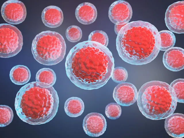 సెల్ సమూహం.