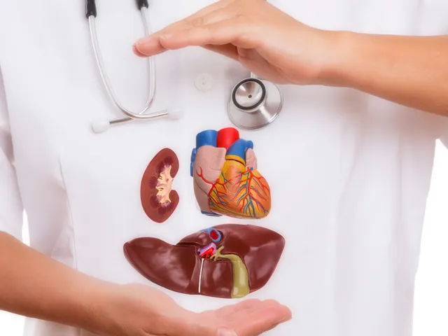 గుండె, కిడ్నీ, కాలేయం.